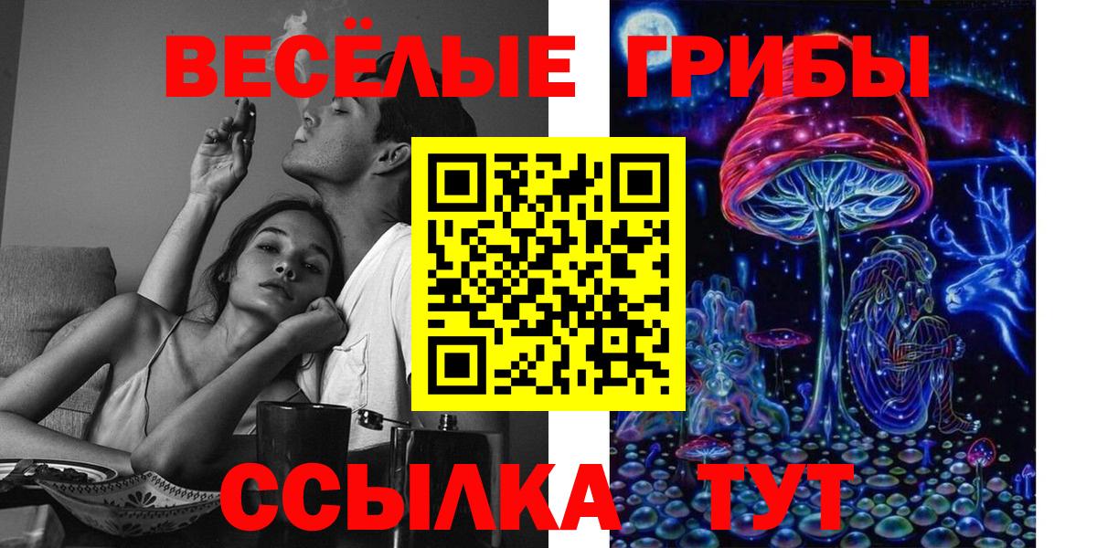 Галлюциногенные грибы Psilocybine cubensis Тында
