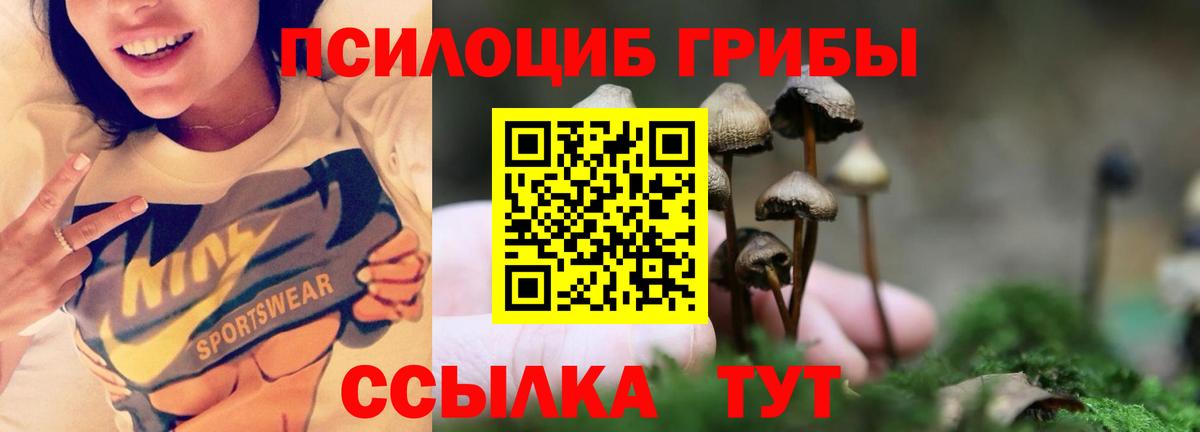 Галлюциногенные грибы Psilocybine cubensis  Вход с VPN  Тында 
